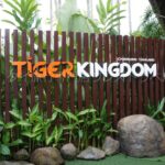 タイガーキングダム・チェンマイ