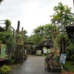 タイガーキングダム・チェンマイ